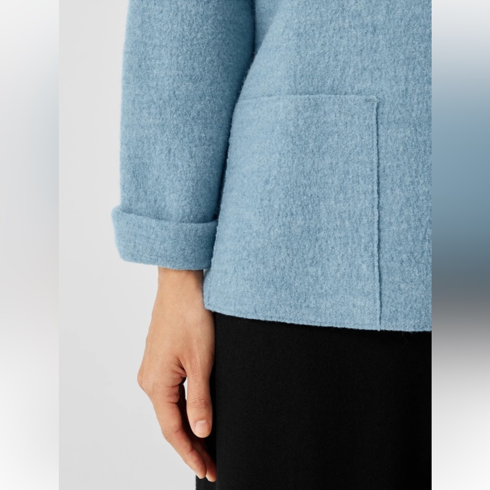NWT EILEEN FISHER Lightweight Boiled Wool Bateau Neck Top in Regenerative Wool - Picture 4 of 8